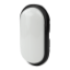 Poza cu LED Torton